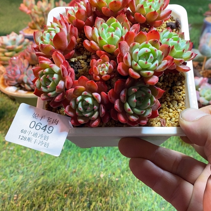 0649啊啊啊啊啊啊啊啊