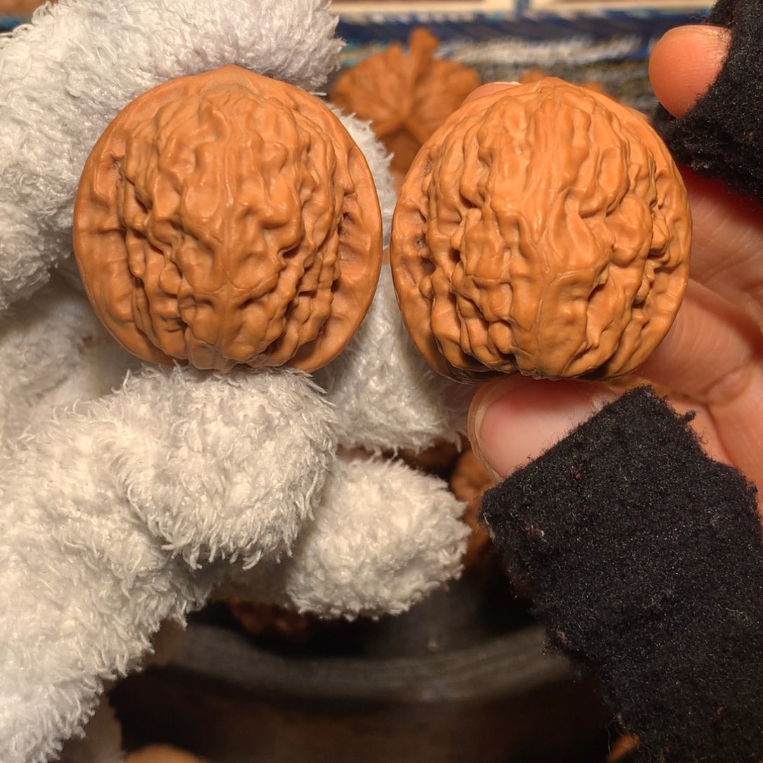 文玩核桃把件边32 肚36 全品野狼