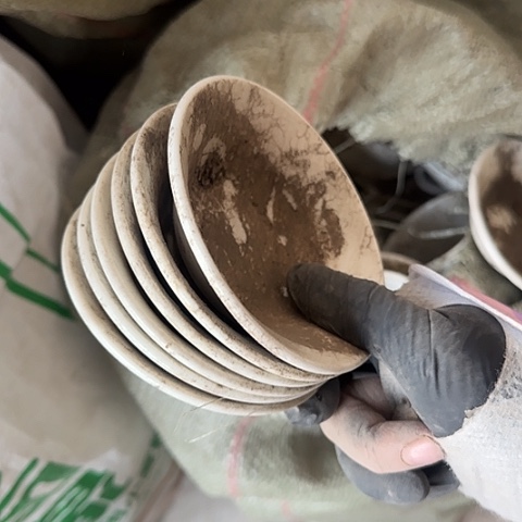 瓷片6个曲纹10厘米