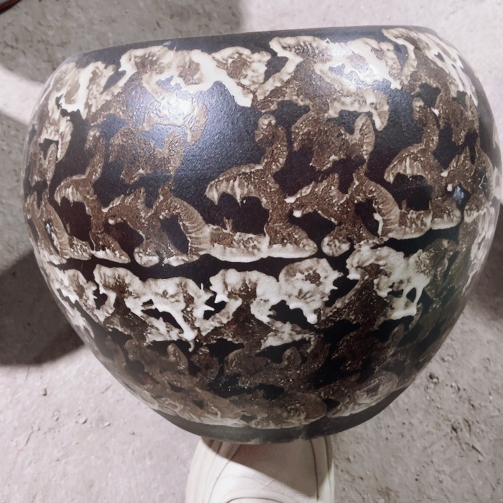 口径23高度26一只正品