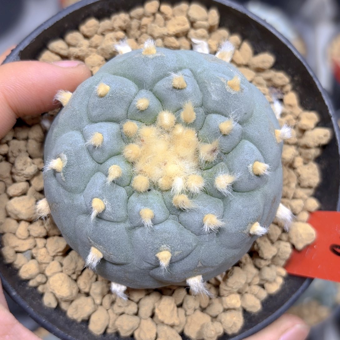 G18 g g g g g g g g