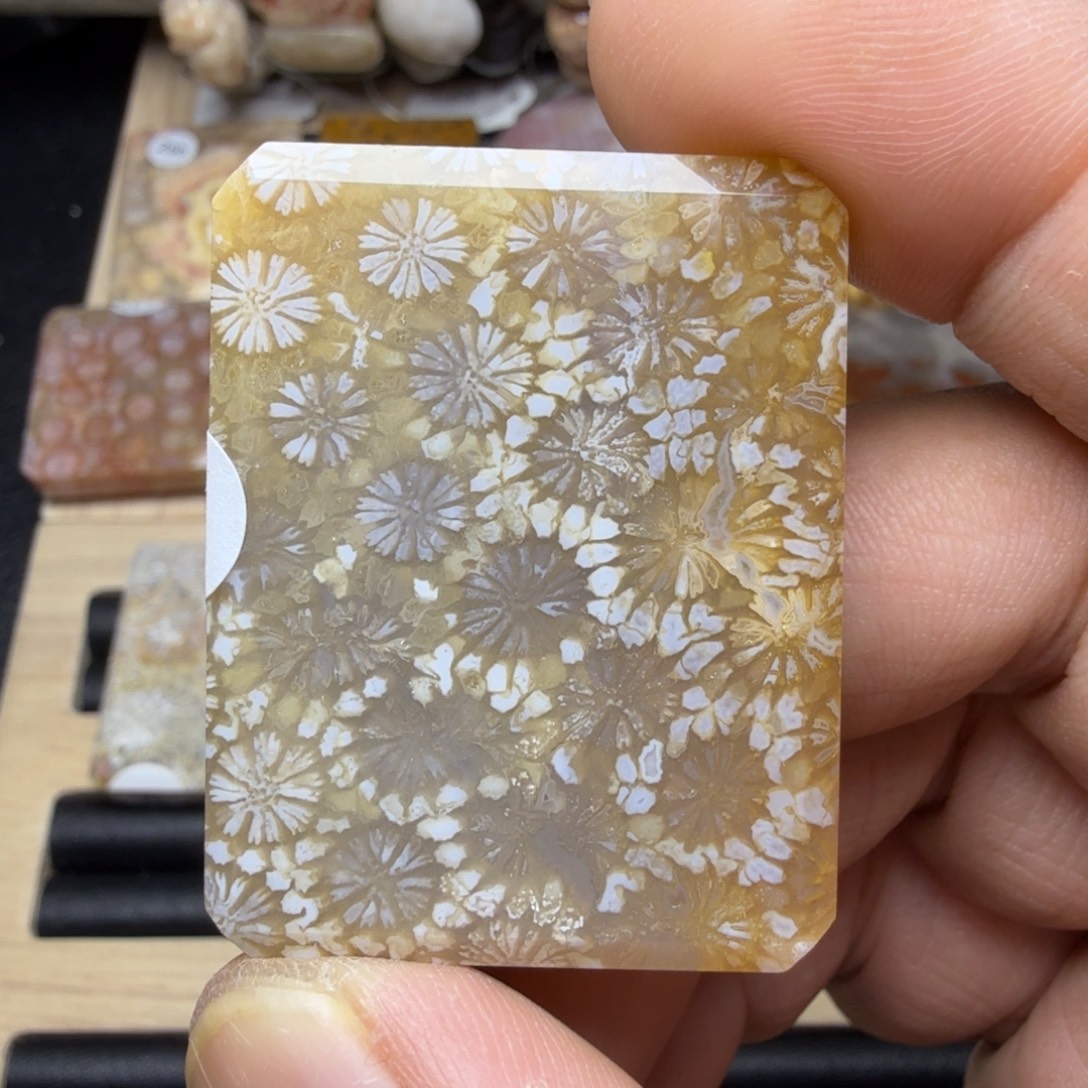 硅化玉未镶嵌纯天然色有机玉石保真色