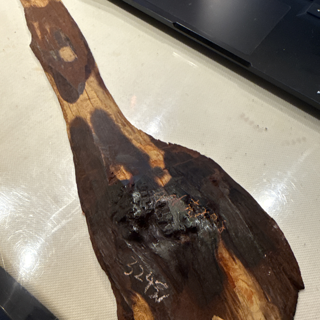 小叶紫檀老料324