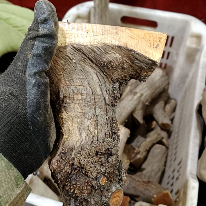 弓***师香榧木崖柏原叉崖柏原叉崖柏原叉