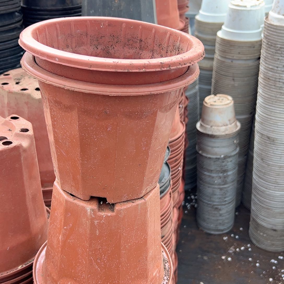 红砖盆18口径14高 20个 
