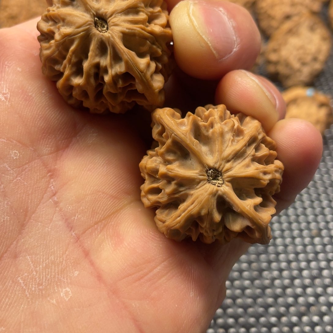 秦岭小王文玩核桃