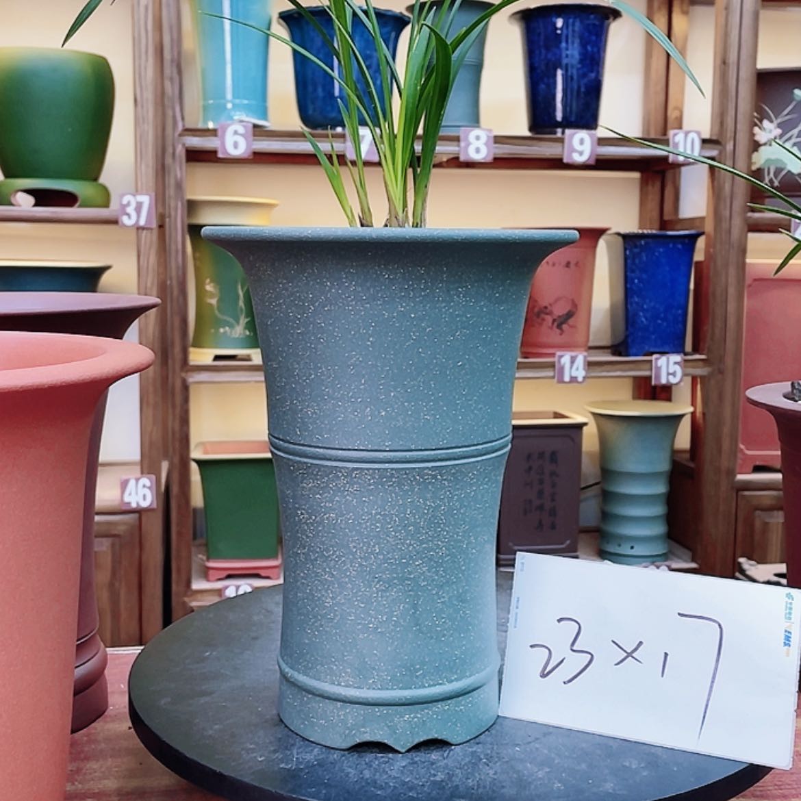 【闪购商品】紫砂花盆兰花456666668855568885