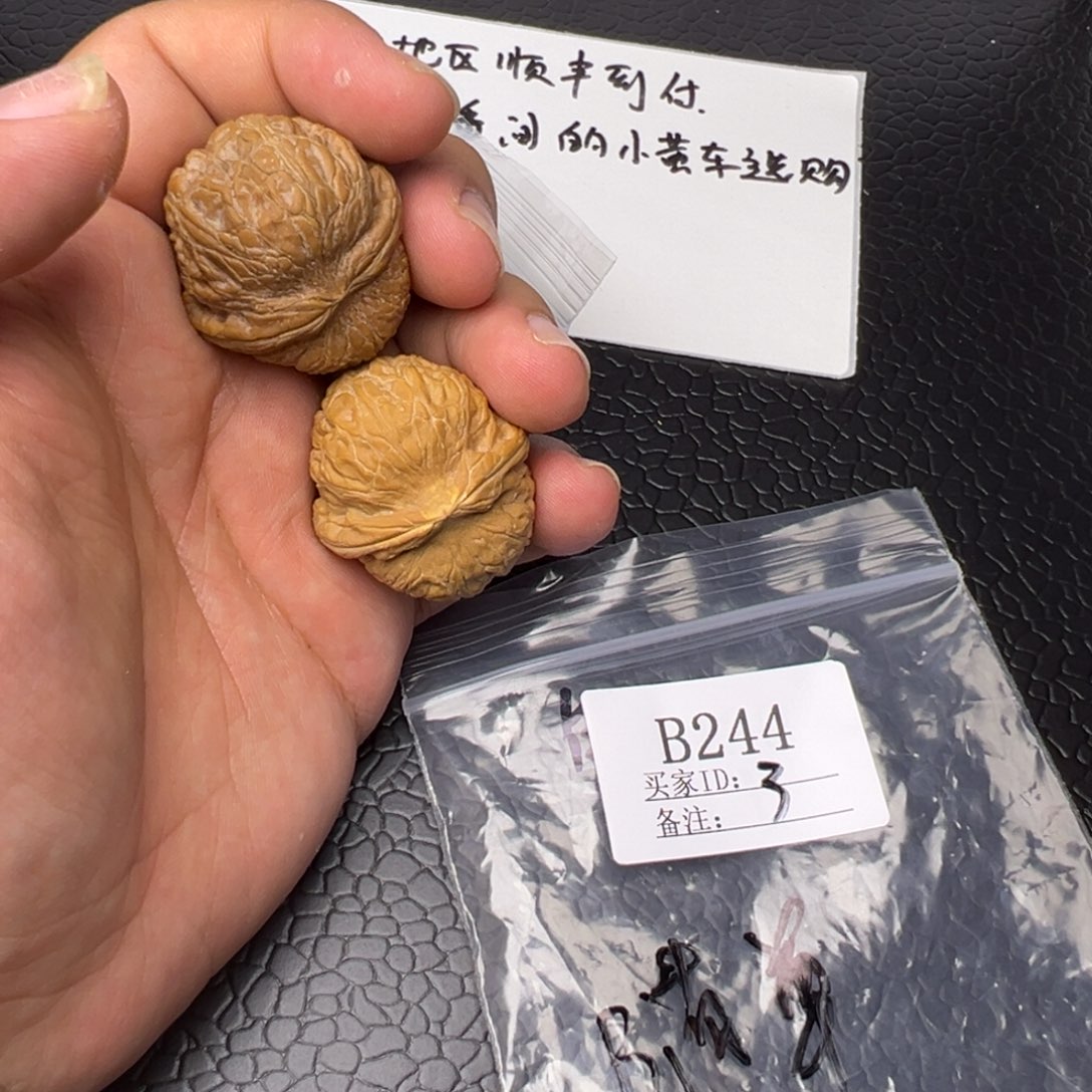 核桃手串/手链31元宝