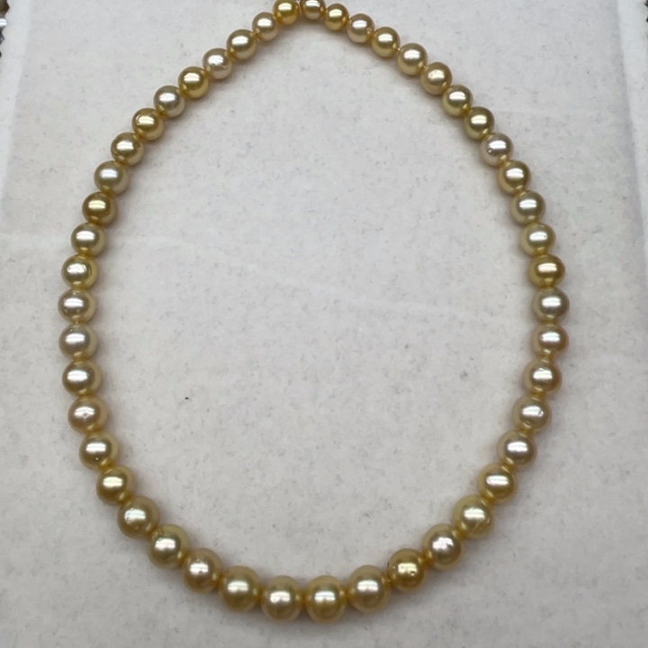 未镶嵌项链海水珍珠南洋金珠6.3-8.9