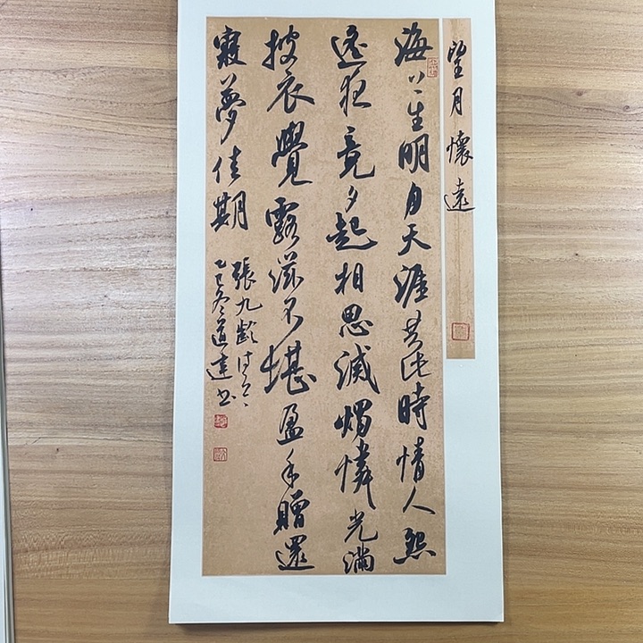 书法中书协会员作品