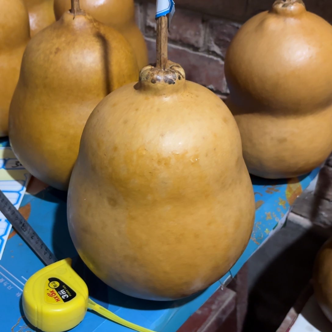 卷****葫芦葫芦葫芦葫芦葫芦