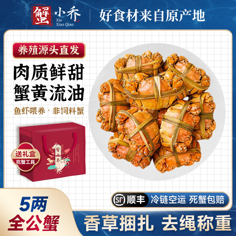 【5两全公蟹】4-8只蟹小乔大闸蟹精选鲜活固城湖螃蟹全公蟹顺丰