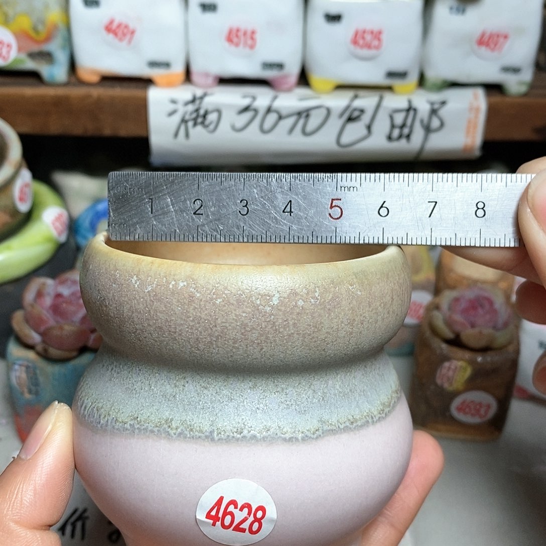 红陶拍5送一个小