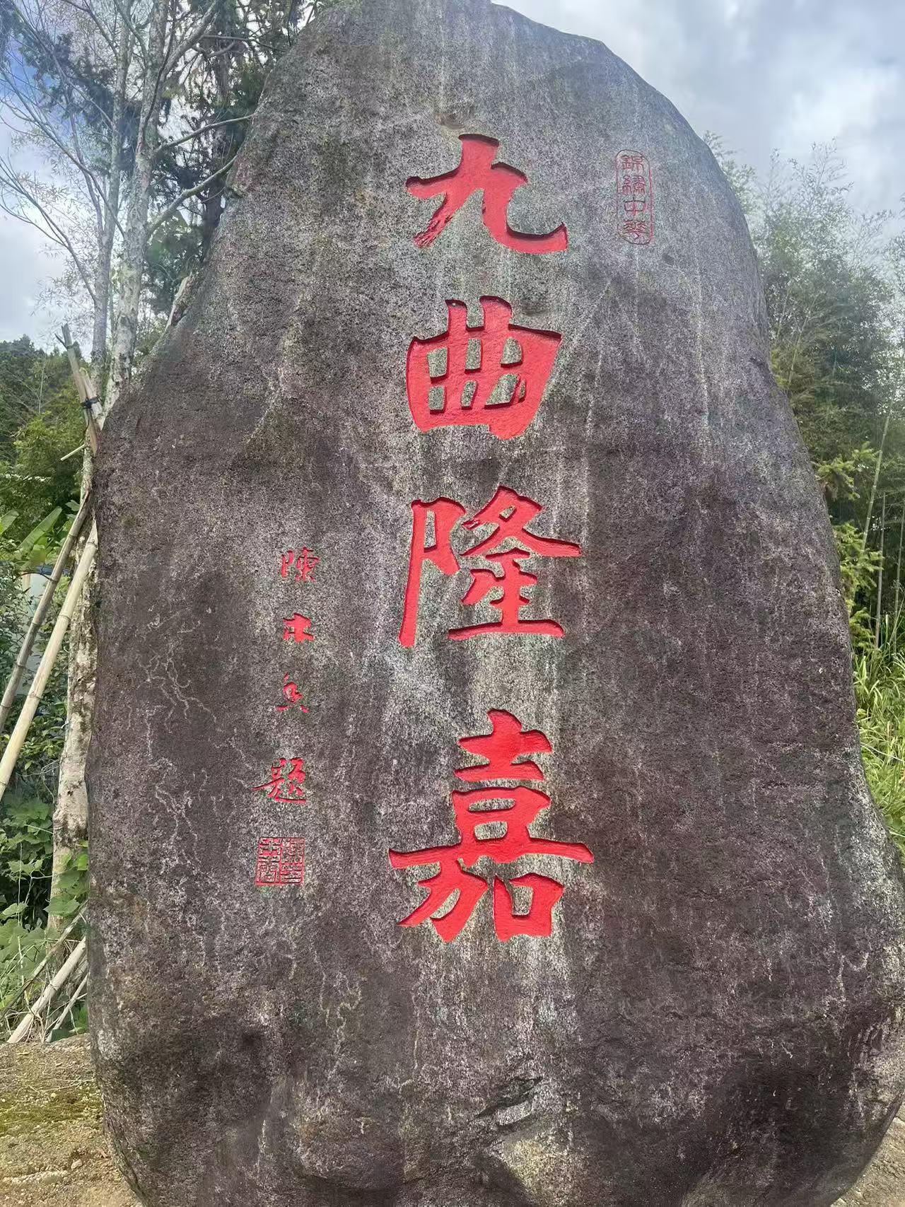 帽子哥 枫树窠老枞