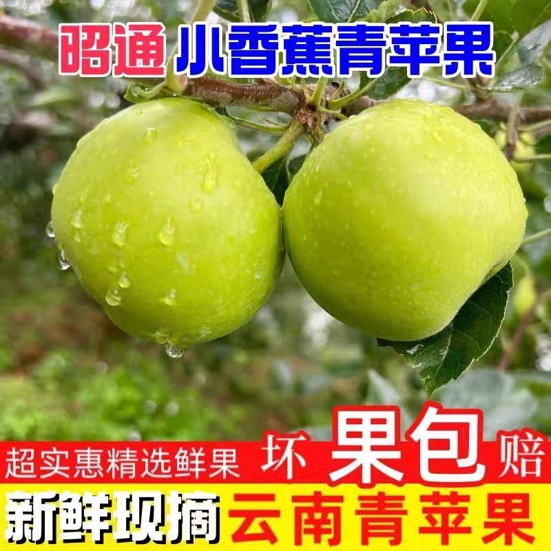 正宗云南昭通香蕉青苹果现摘现发当季新鲜水果脆甜多汁
