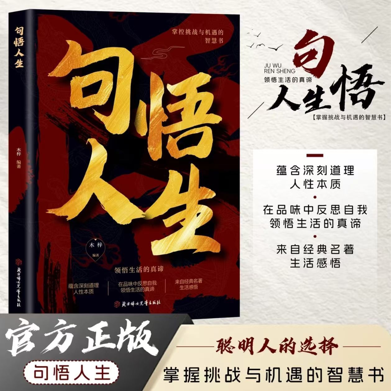 句悟人生 人间清醒心灵治愈指南一句顶一万句领悟人生真谛书籍