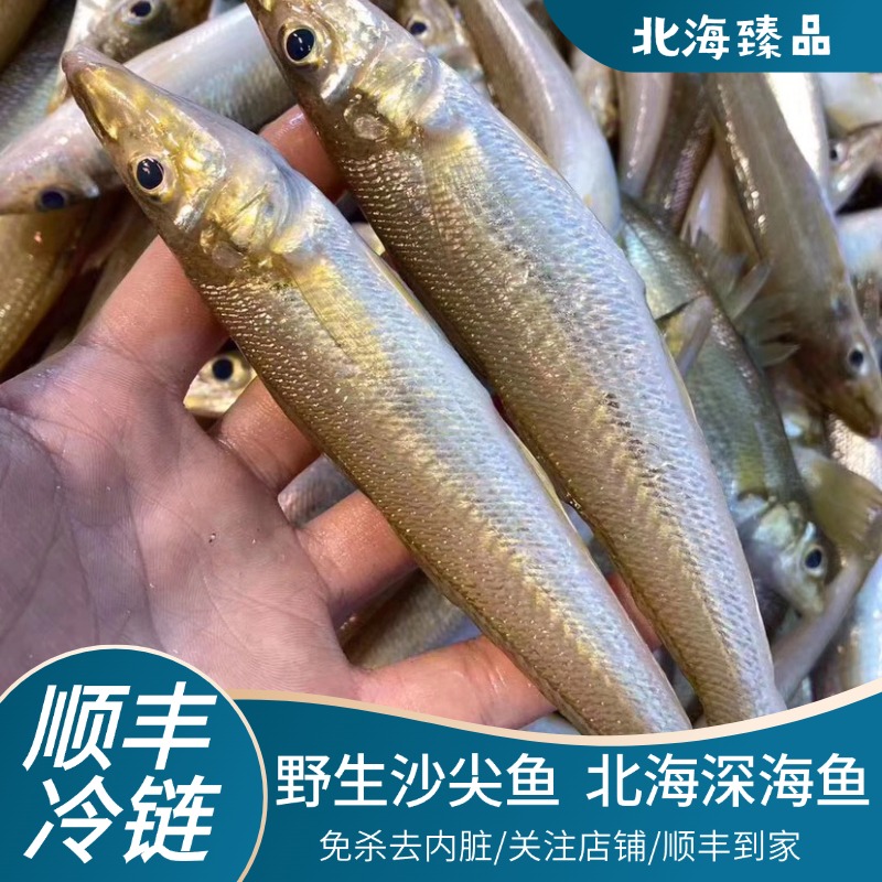 北海沙尖鱼新鲜冷冻深海鱼免杀去内脏海鲜料理