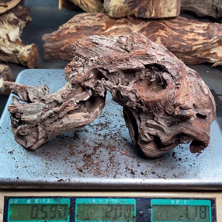 黄花梨/降香黄檀幸***?