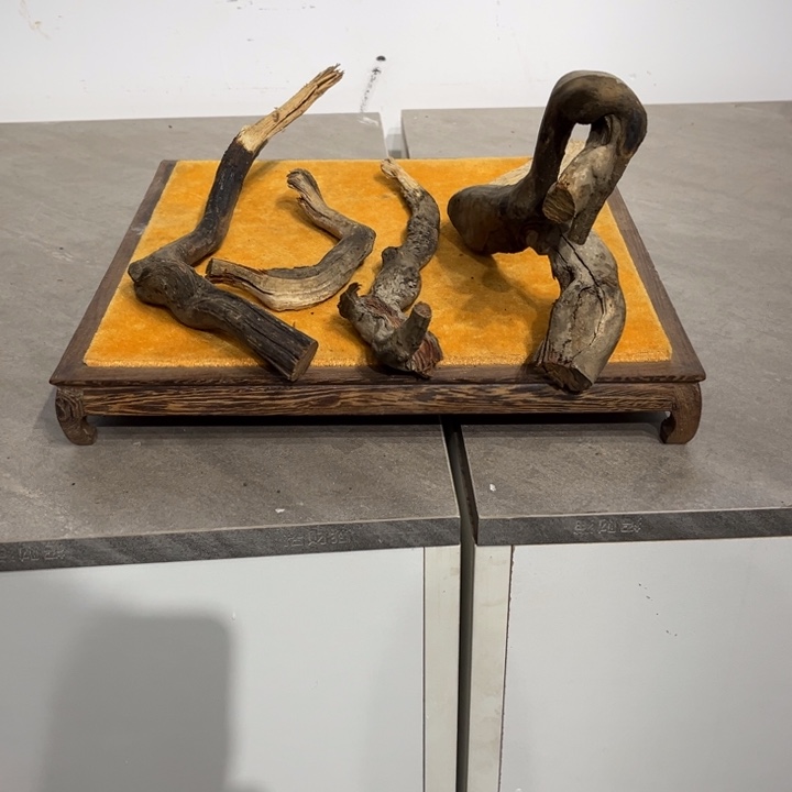 四***哥柏木崖柏等自然景和自然风光为主