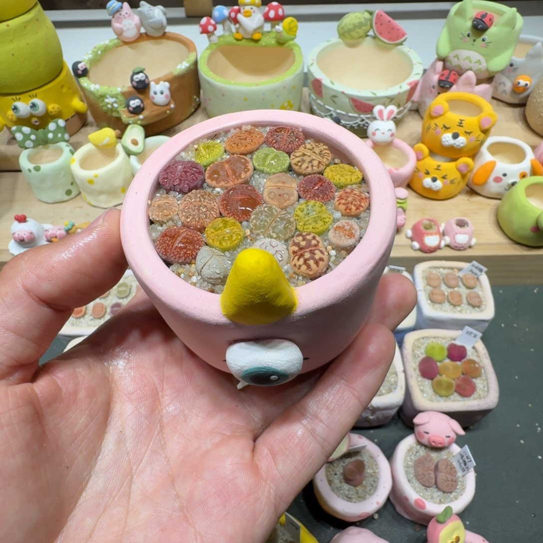 蘑菇365彩拼彩拼