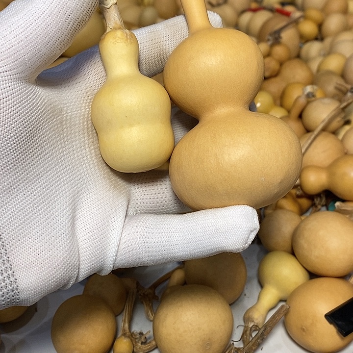 俺***人精品葫芦手把葫芦18