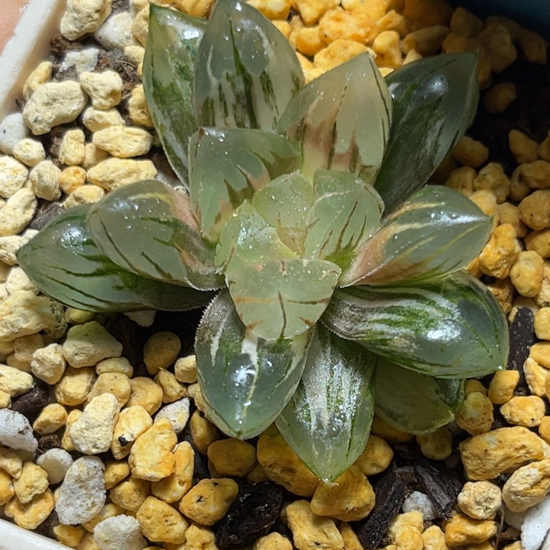 恭喜发财大吉大利0412