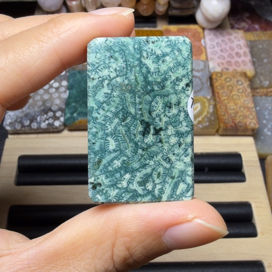 硅化玉未镶嵌保真 清晰绿虫，有裂 特价