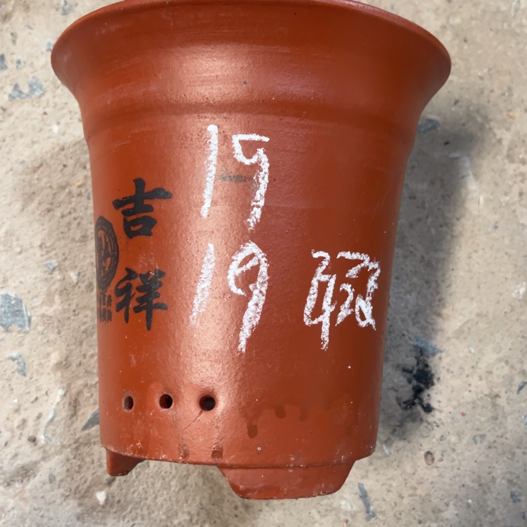 紫砂工艺厂……紫砂工艺厂