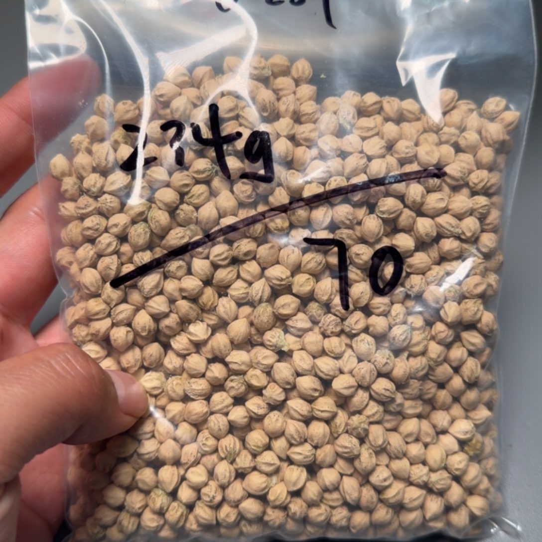 枫***柏香籽/百香籽吊坠