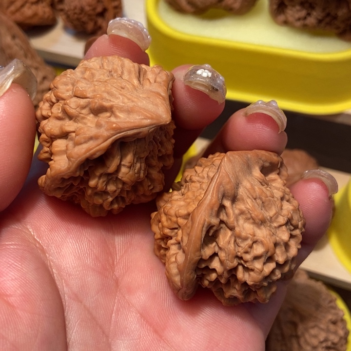 官方网站发布消息显示