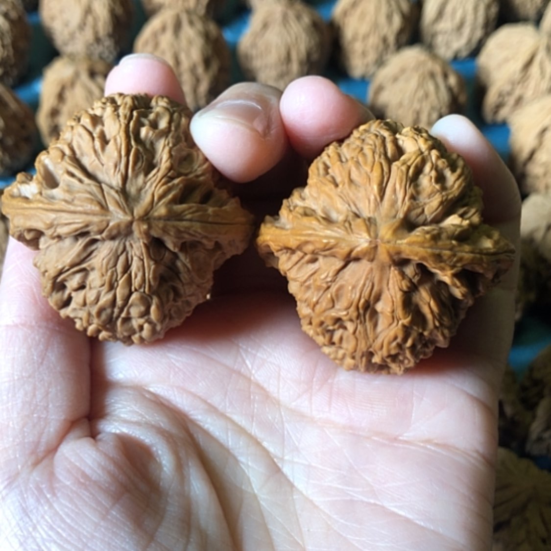 【闪购商品】文玩核桃把件该**了一代将