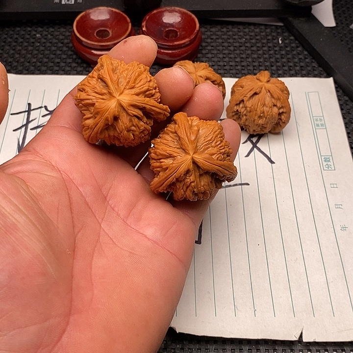 柯***雪核桃手串/手链白狮子21