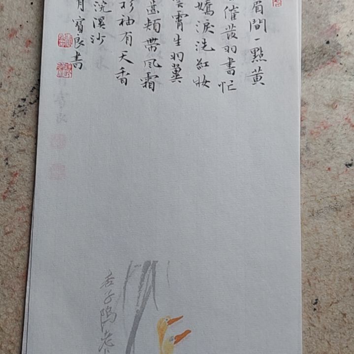 书法东坡词小品小楷17*34