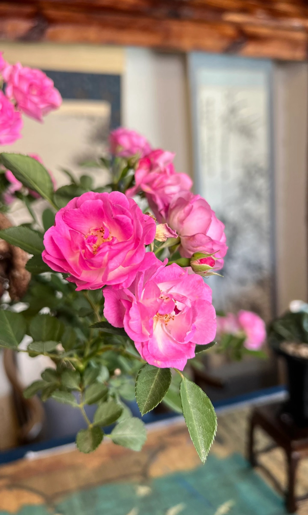 直播专属，一物一拍，下单咨询主播。