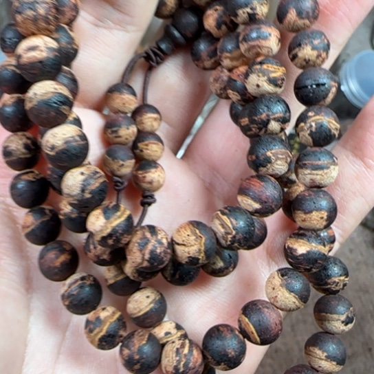 藤类降真香黄金甲多圈0.8爆甲