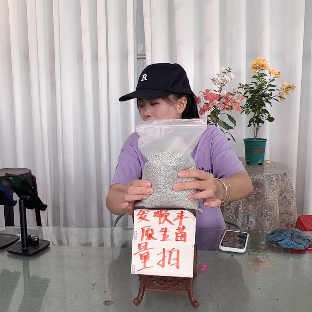 当前无花栽培后可以开花三角梅专用肥2斤