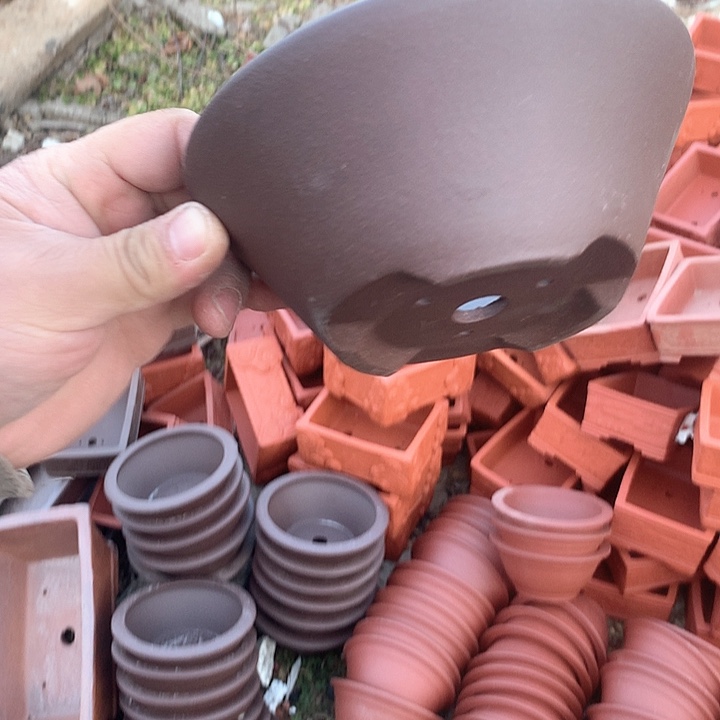 紫砂我要不就是你一