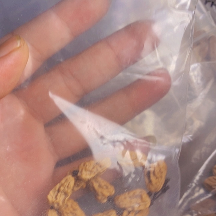 吊坠桃核文玩木质核桃手串