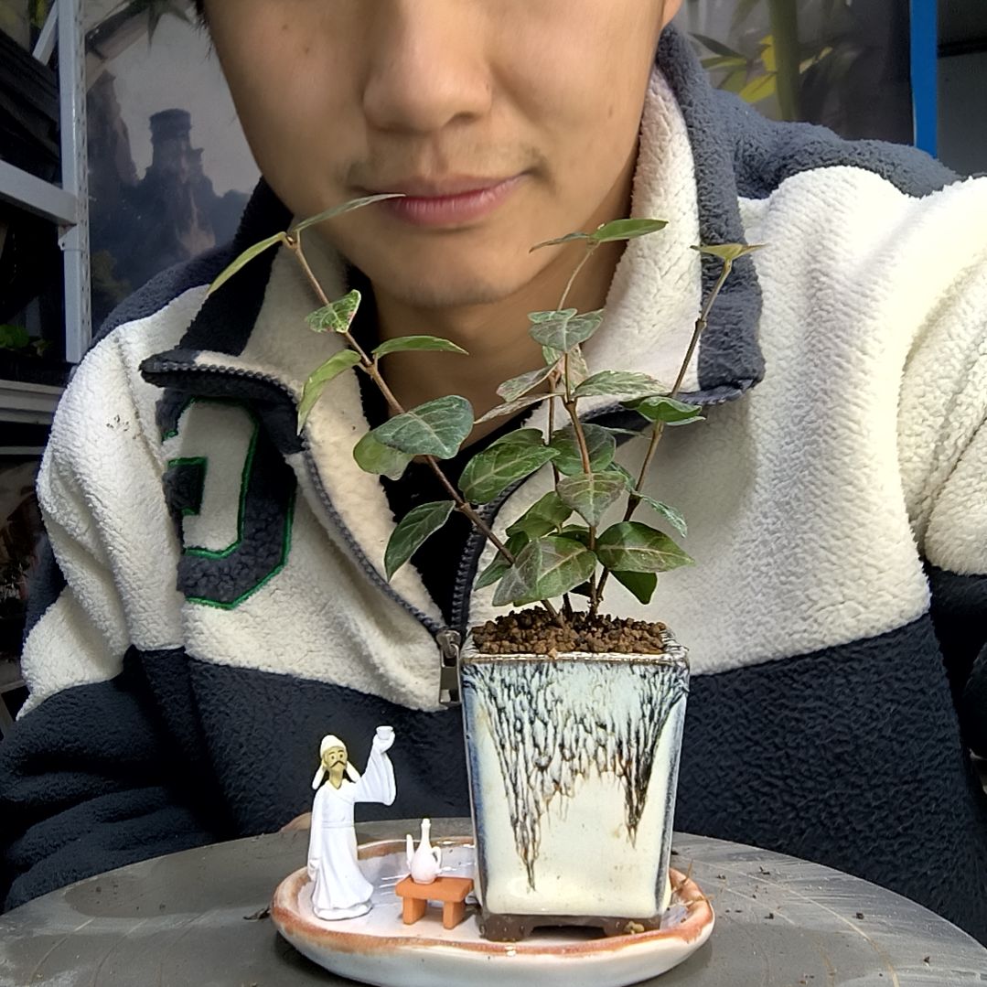 小*毒中青园艺一物一拍37