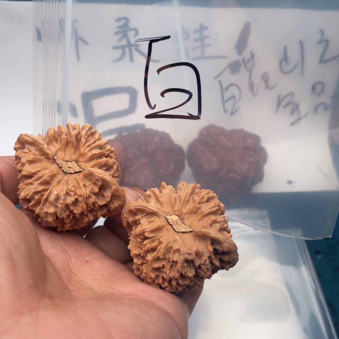 核桃W639836496694694964
