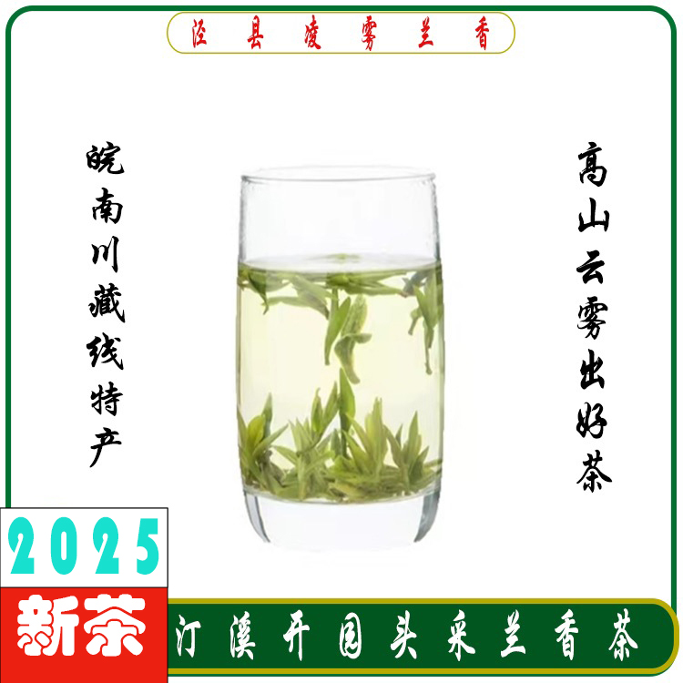 泾县汀溪兰香2025新茶春茶喝茶明前兰花香正宗原产地开园特级绿茶