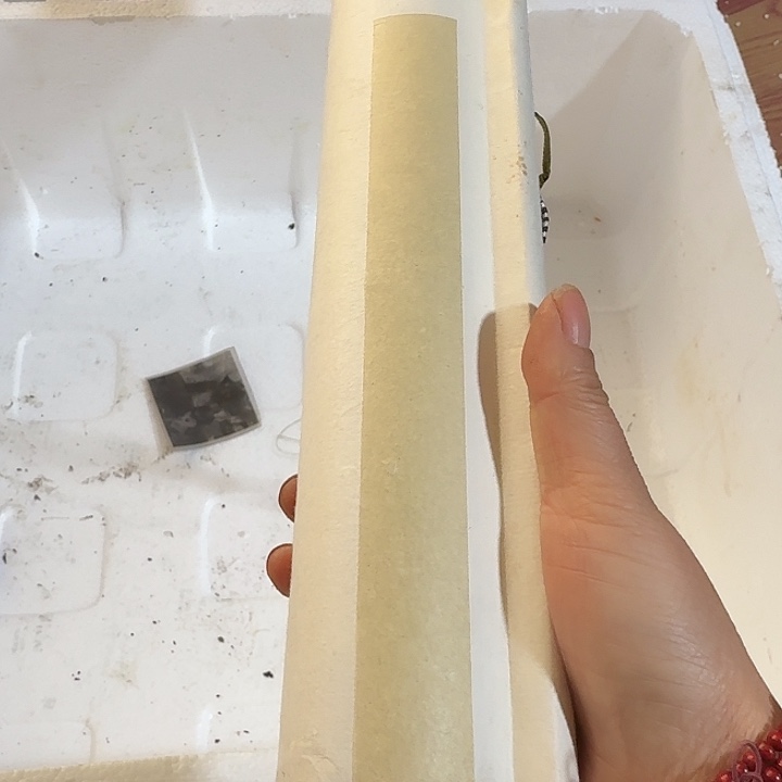 Z***强扇子ncscsnscncscsncsncaaxnxan