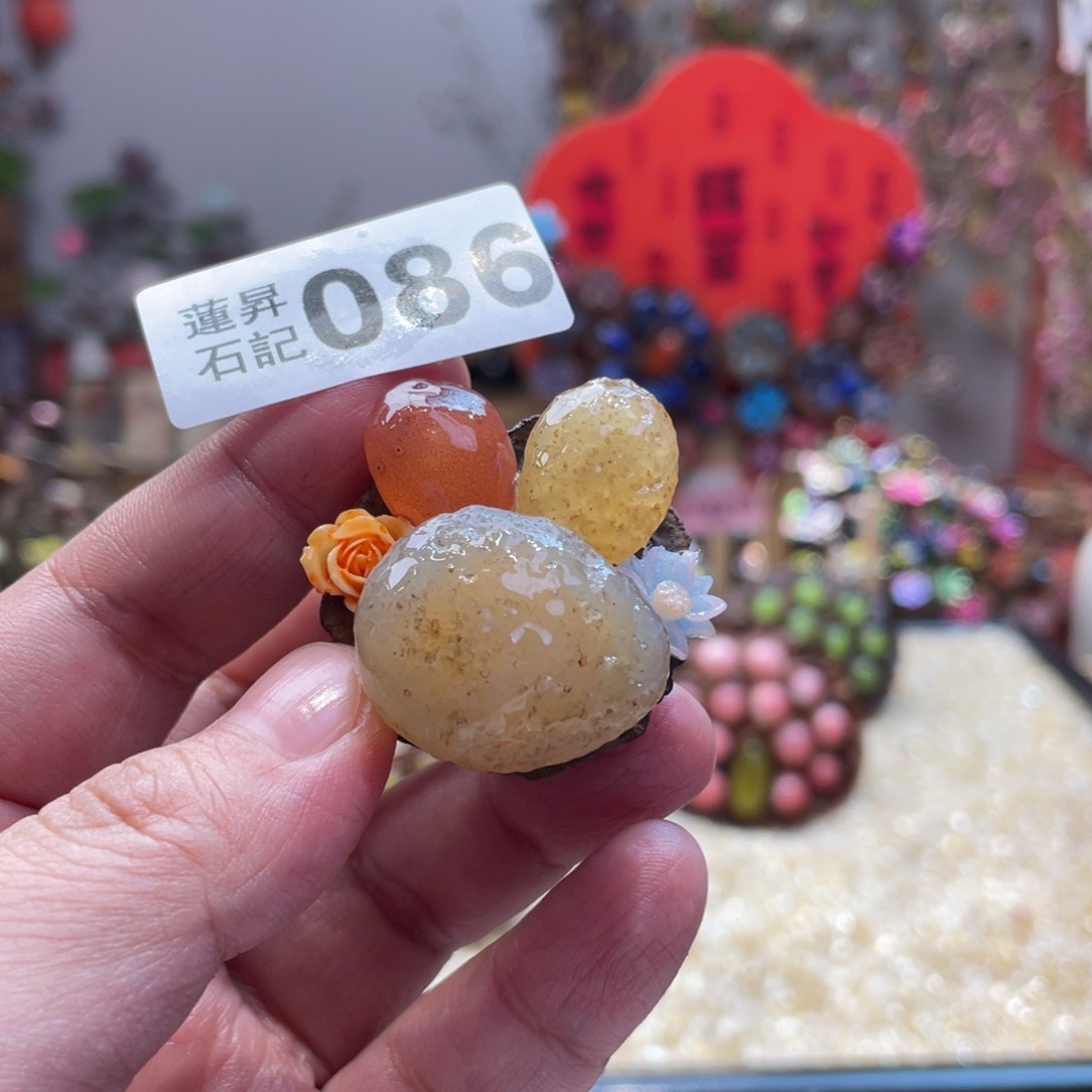 核桃木/黑胡桃（胡桃木）086