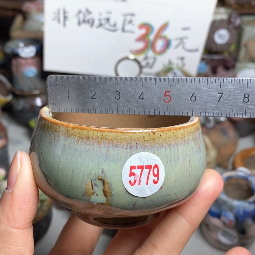 花盆拍5送一个小礼物