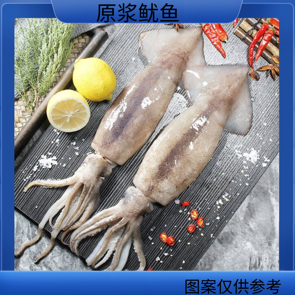 原浆 鱿鱼  400-600克/条  到手4条 顺丰发货