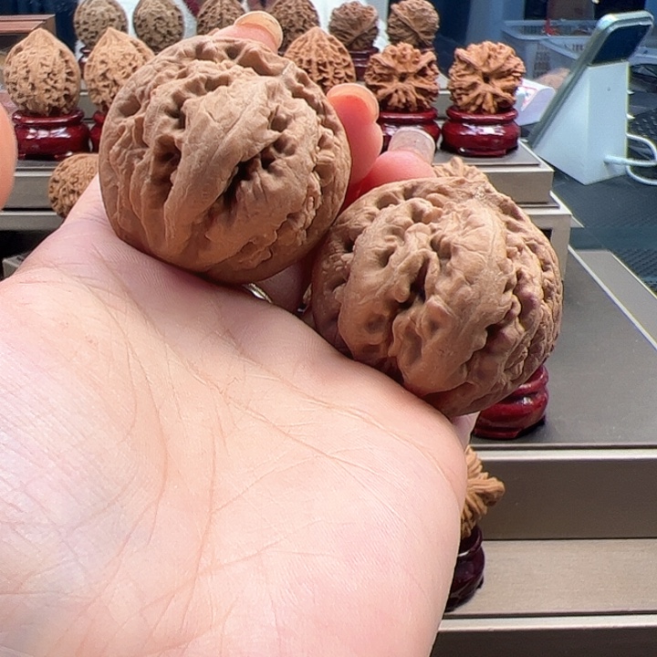 文玩核桃把件41 霸王龙 o-013