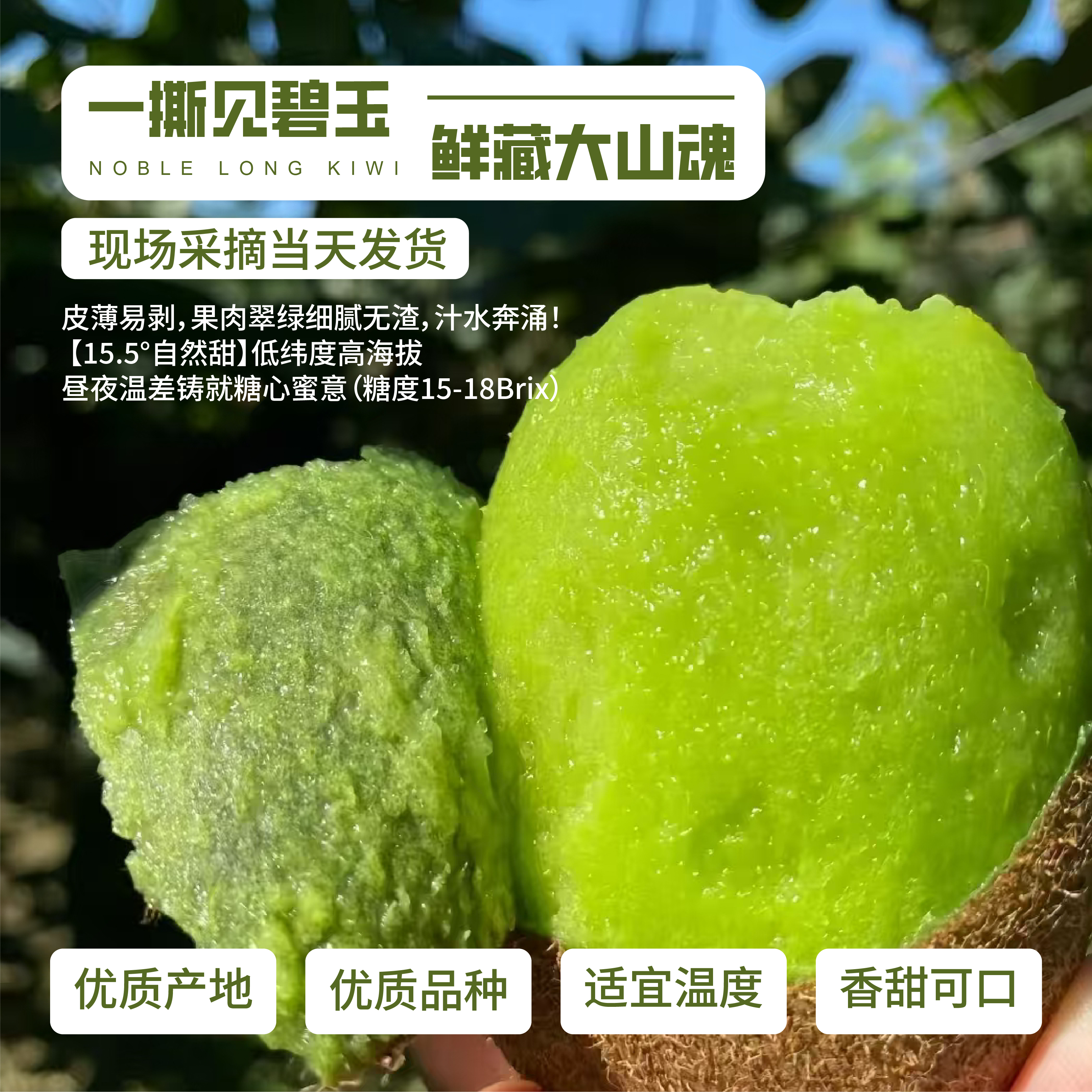 贵州香猕猴桃新鲜绿心奇异果酸甜可口皮薄肉厚
