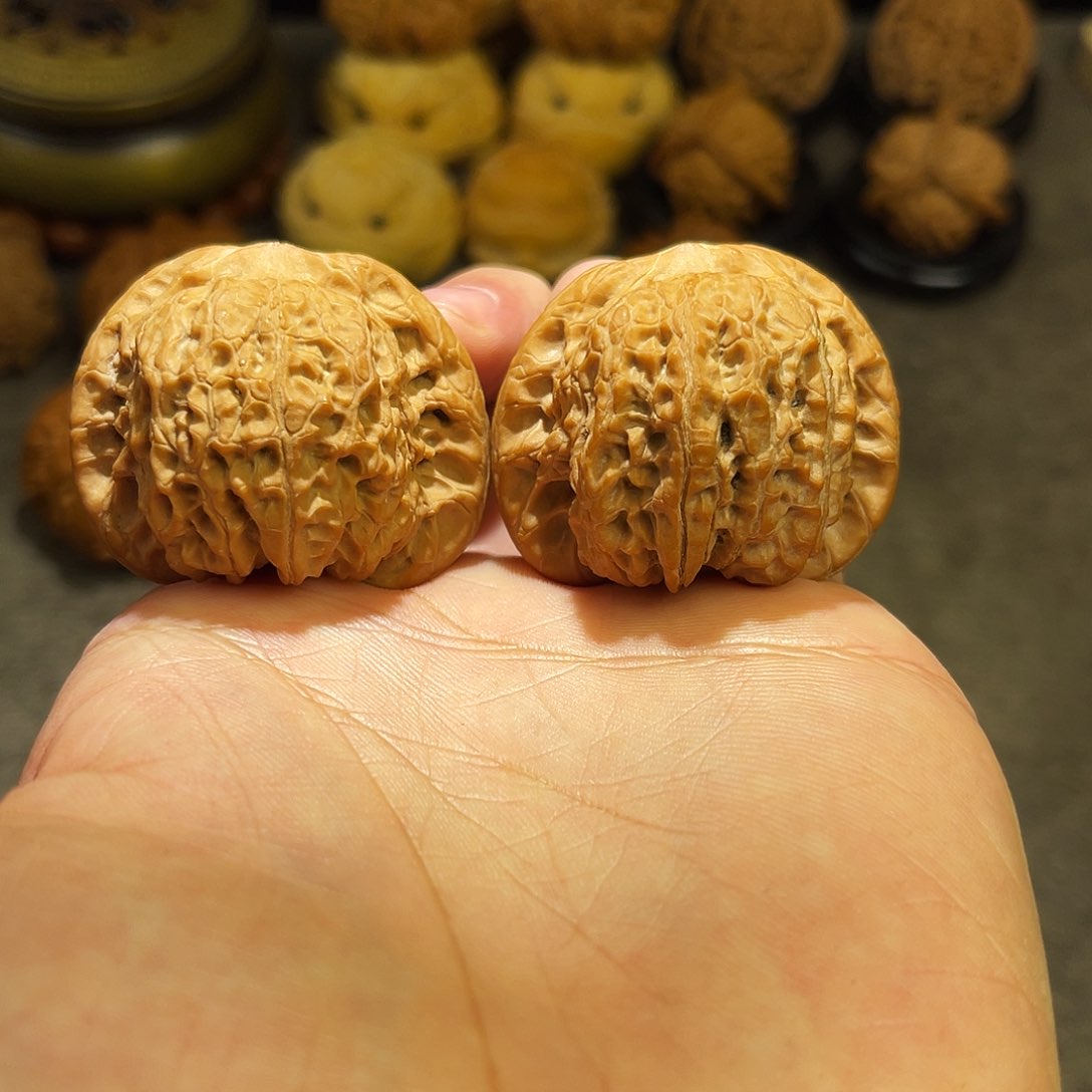 文玩核桃把件42全品血麒麟