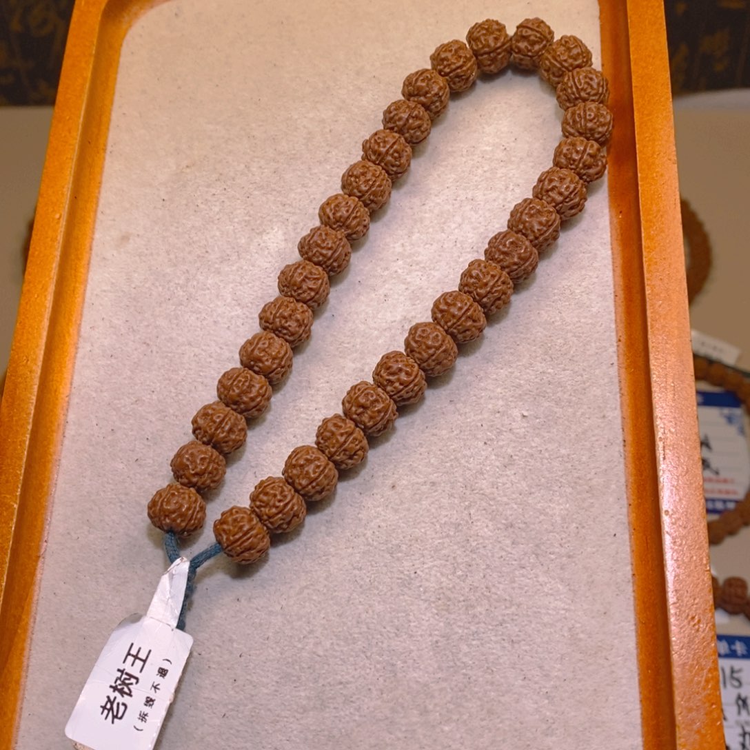 手串金刚菩提老树王