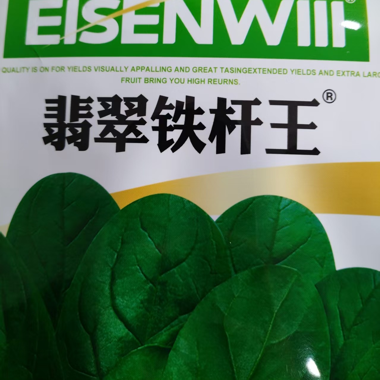 铁杆王菠菜叶面黑绿油亮高产抗病菠菜种子